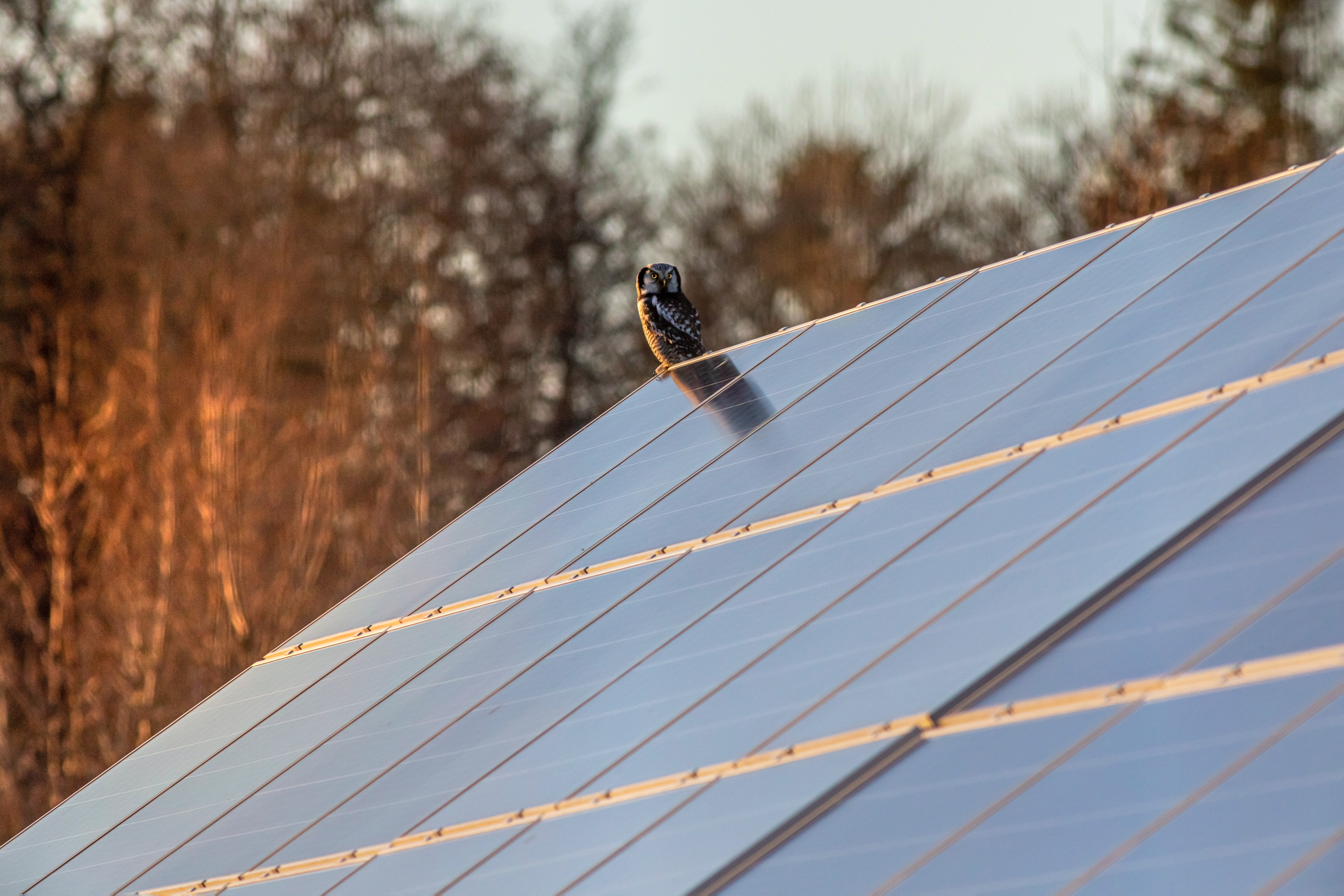 Solar-energy-tinyhouse